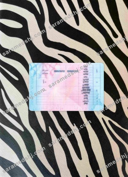 Iraq driving license photolook BACK